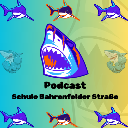 Podcast 5 – Schule Bahrenfelder Straße