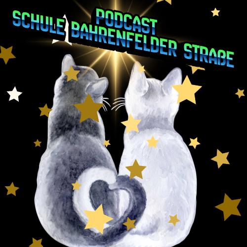 Podcast 1 /26 – Schule Bahrenfelder Straße