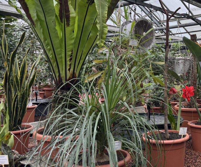 Botanischer Sondergarten
